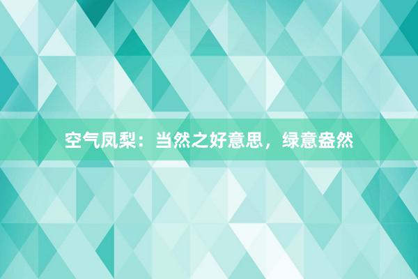 空气凤梨：当然之好意思，绿意盎然